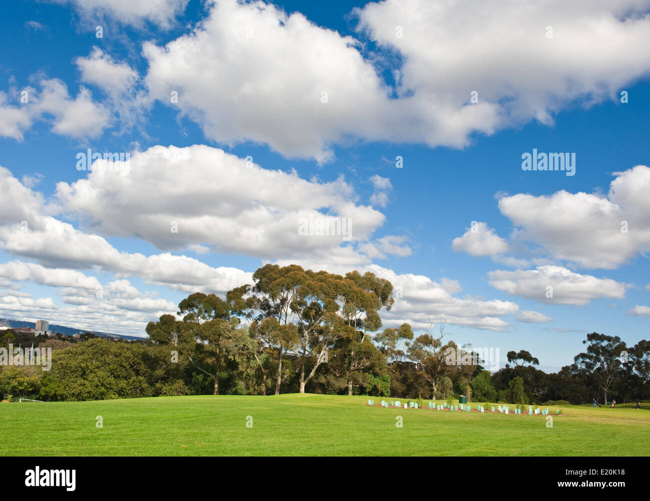 Il paesaggio di un verde campo da golf Foto Stock