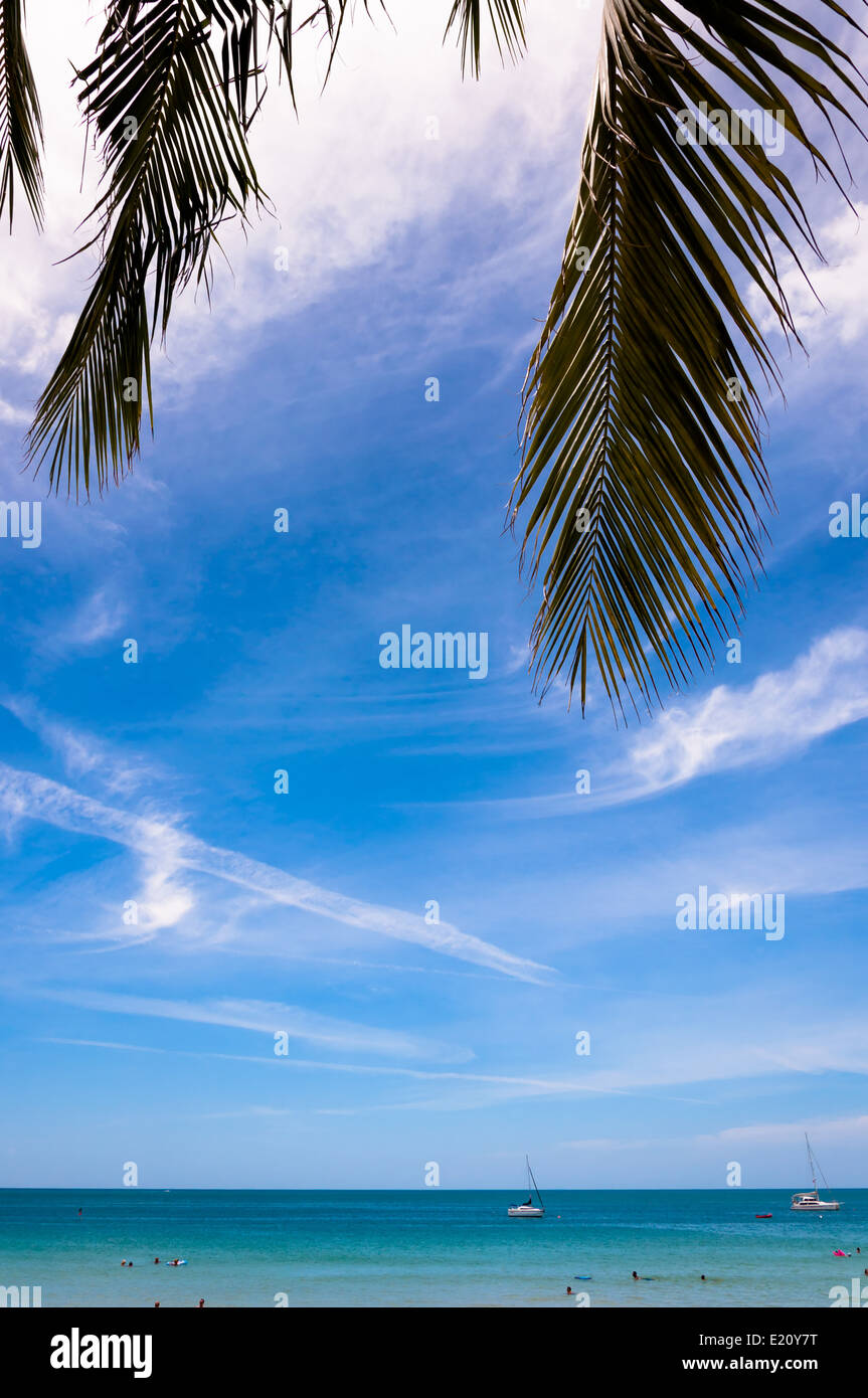 Mare tropicale con foglie di palma e cielo blu: Ko Samui Island in Thailandia Foto Stock