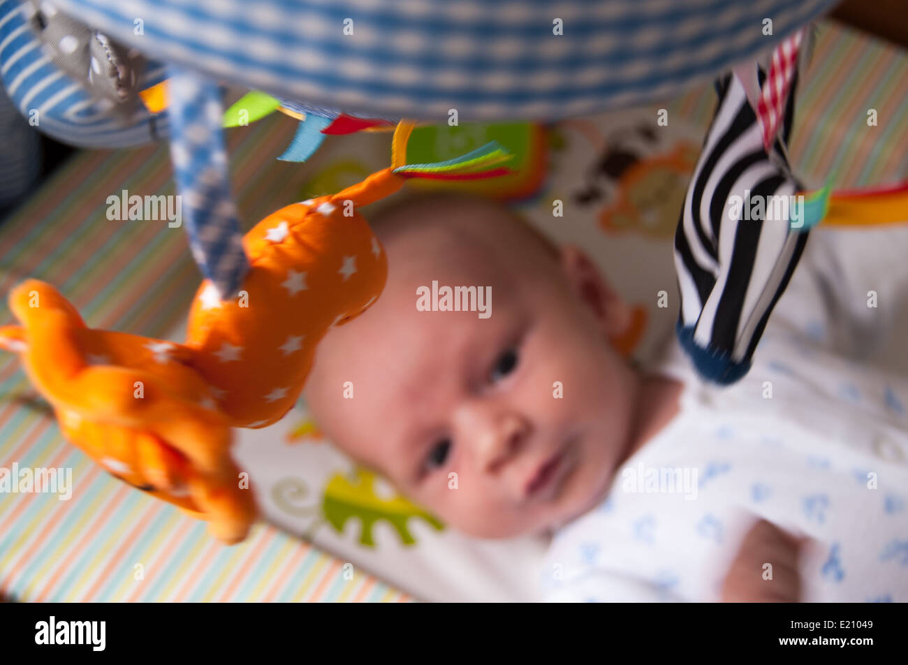 Neonato guardando il giocattolo mobile Foto Stock