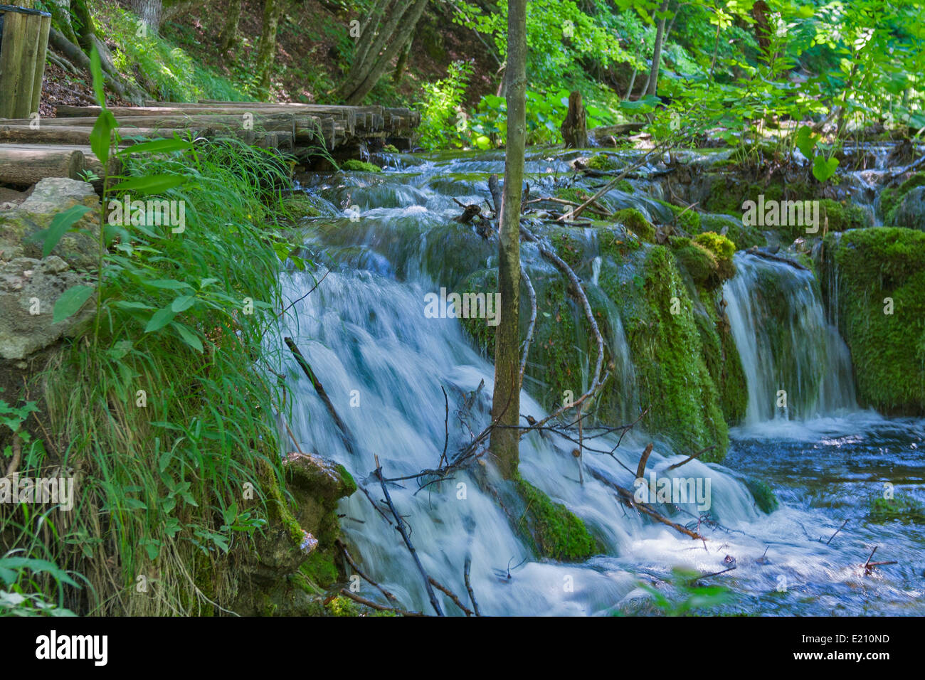 Cascata di primavera nei boschi Foto Stock