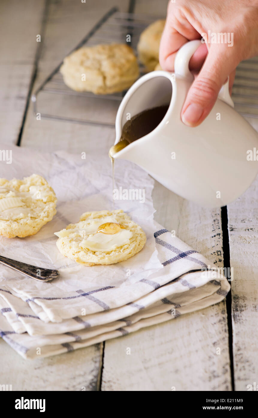 Latticello biscotti con miele Foto Stock