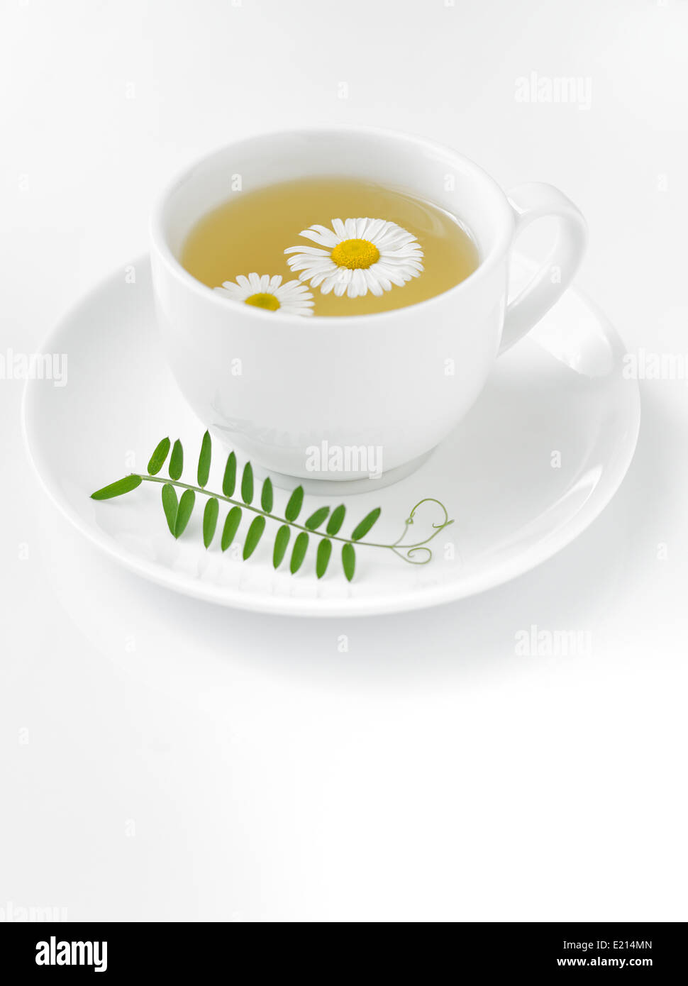 Il tè alle erbe su sfondo bianco Foto Stock