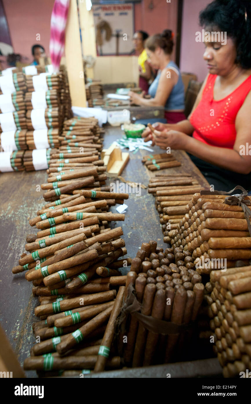 Donne cubane rendono i sigari in una fabbrica. Foto Stock