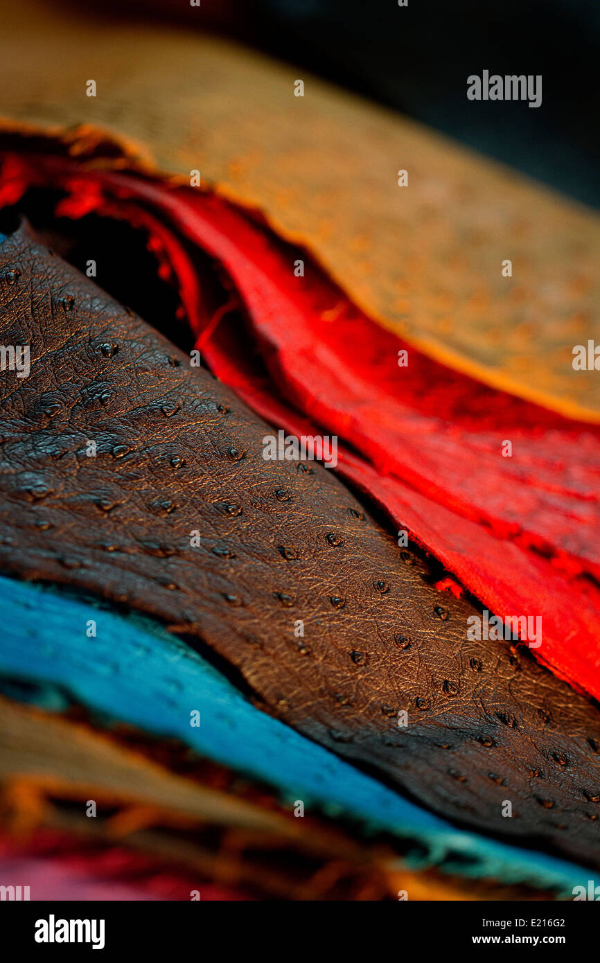 Colorata selezione di vera pelle di struzzo pelle Foto Stock