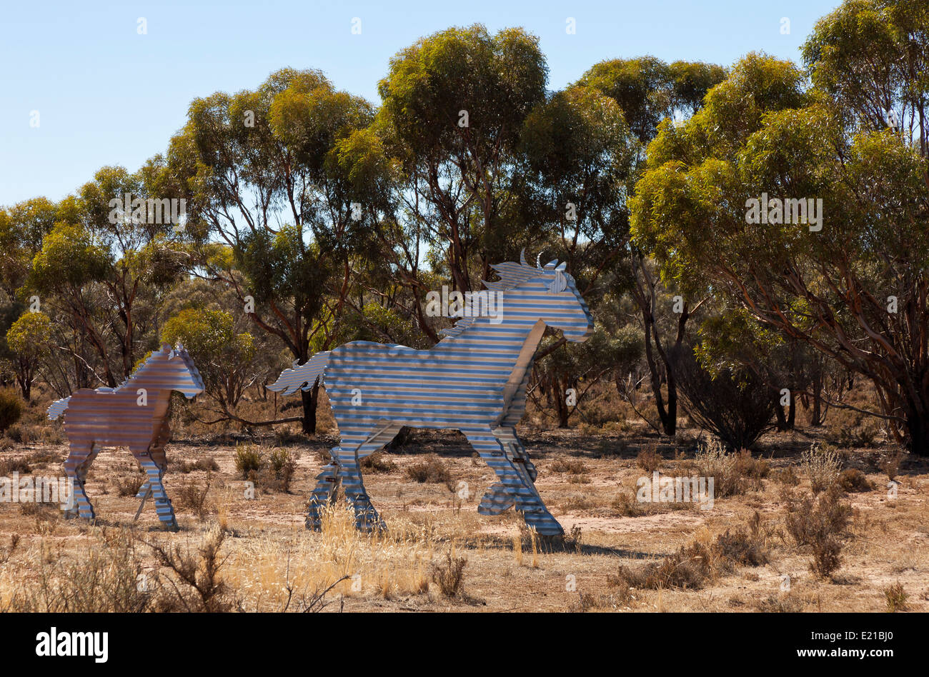 I Cavalli di stagno sul cavallo di stagno in autostrada in Australia Occidentale Foto Stock