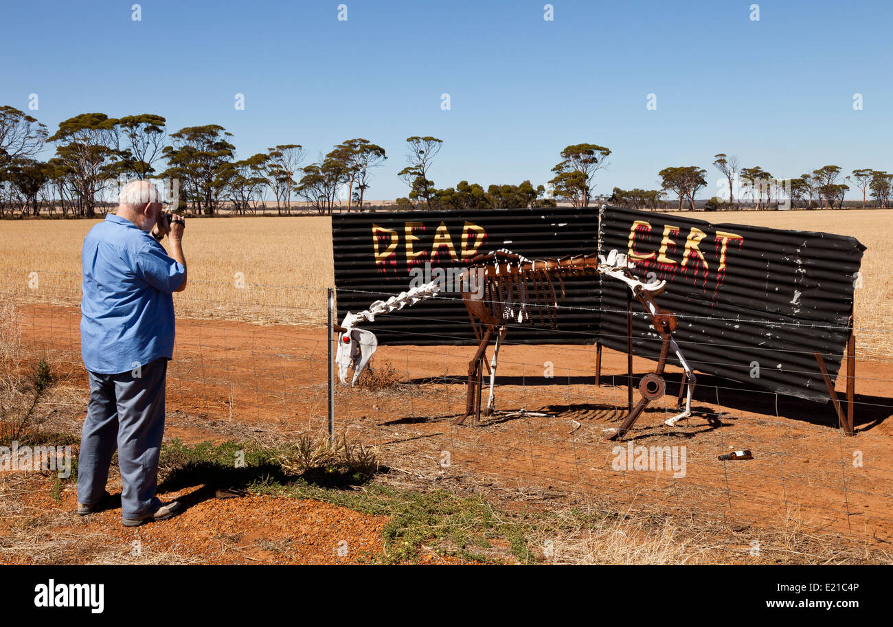 Un cavallo di stagno sul cavallo di stagno in autostrada in Australia Occidentale Foto Stock