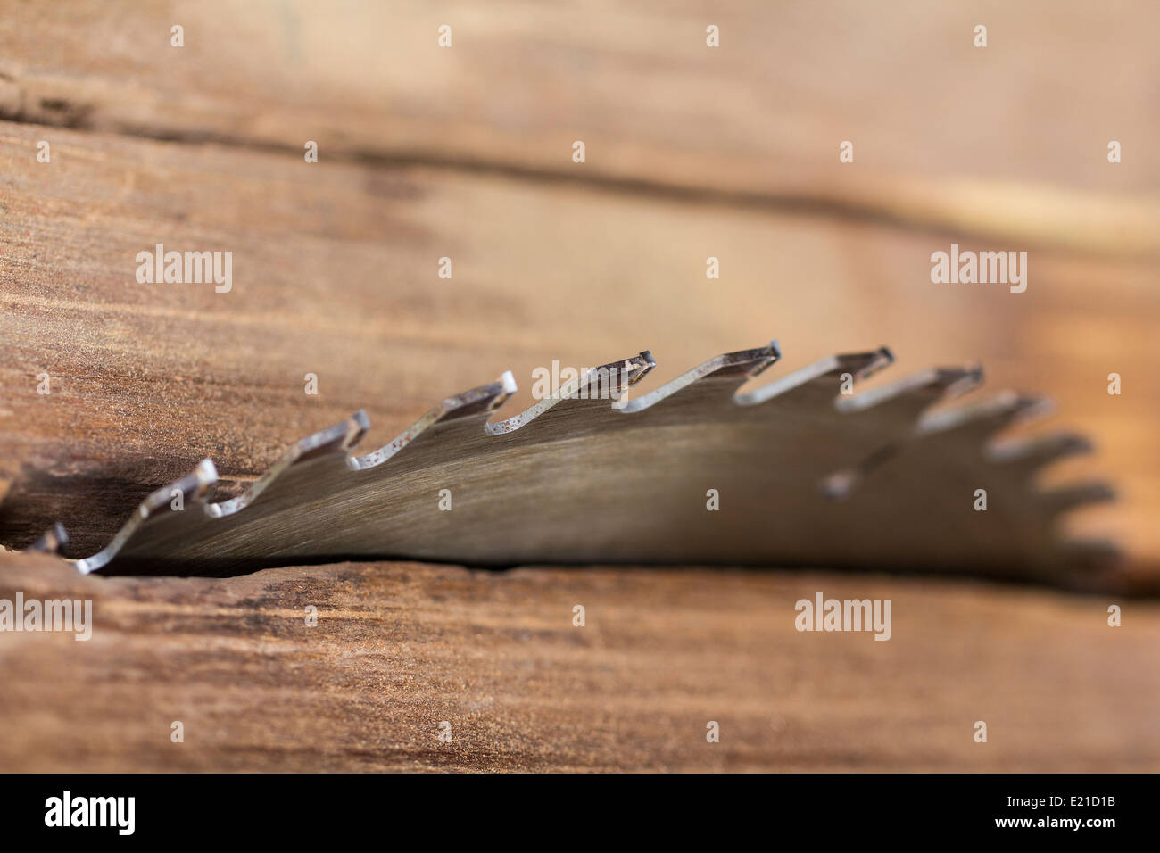 Close up per sega circolare nella bottega del falegname Foto Stock