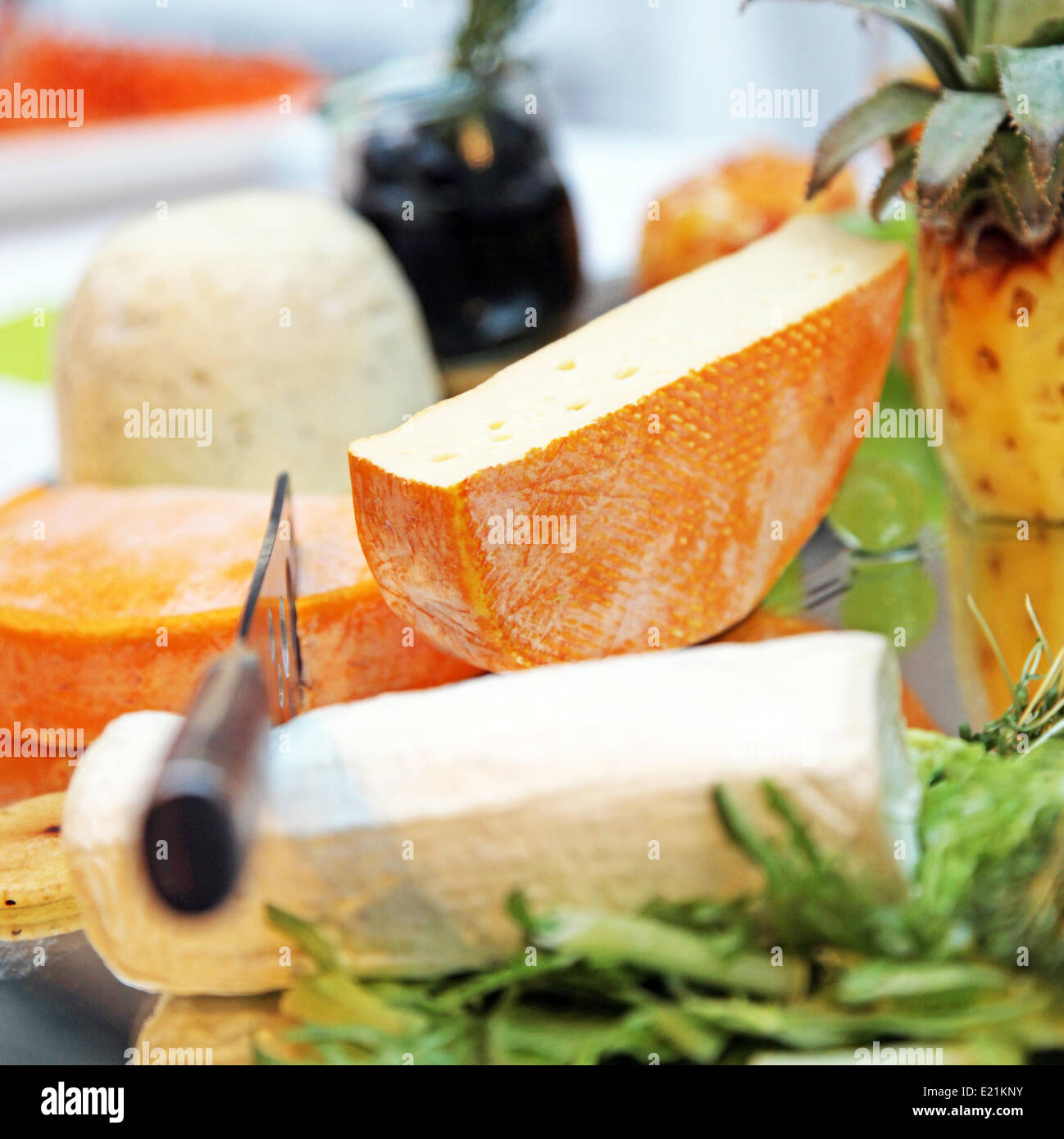 -Verschiedene Käse - Nahaufnahme Foto Stock