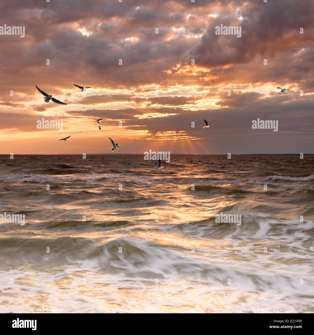 Tramonto nuvoloso Foto Stock