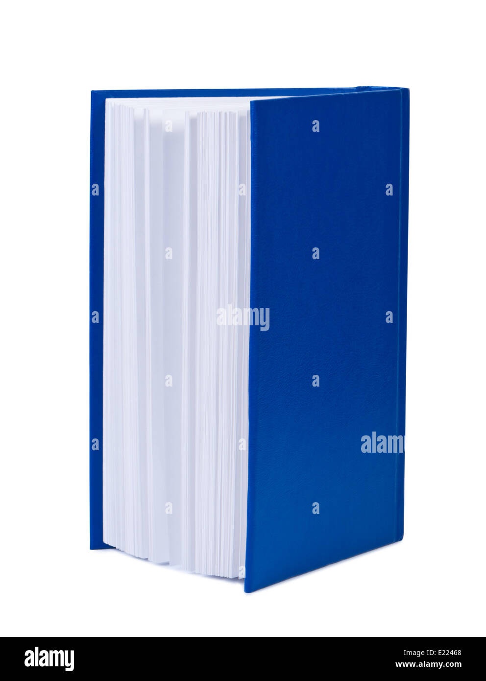 Raccolta con copertina rigida su sfondo bianco. Foto Stock