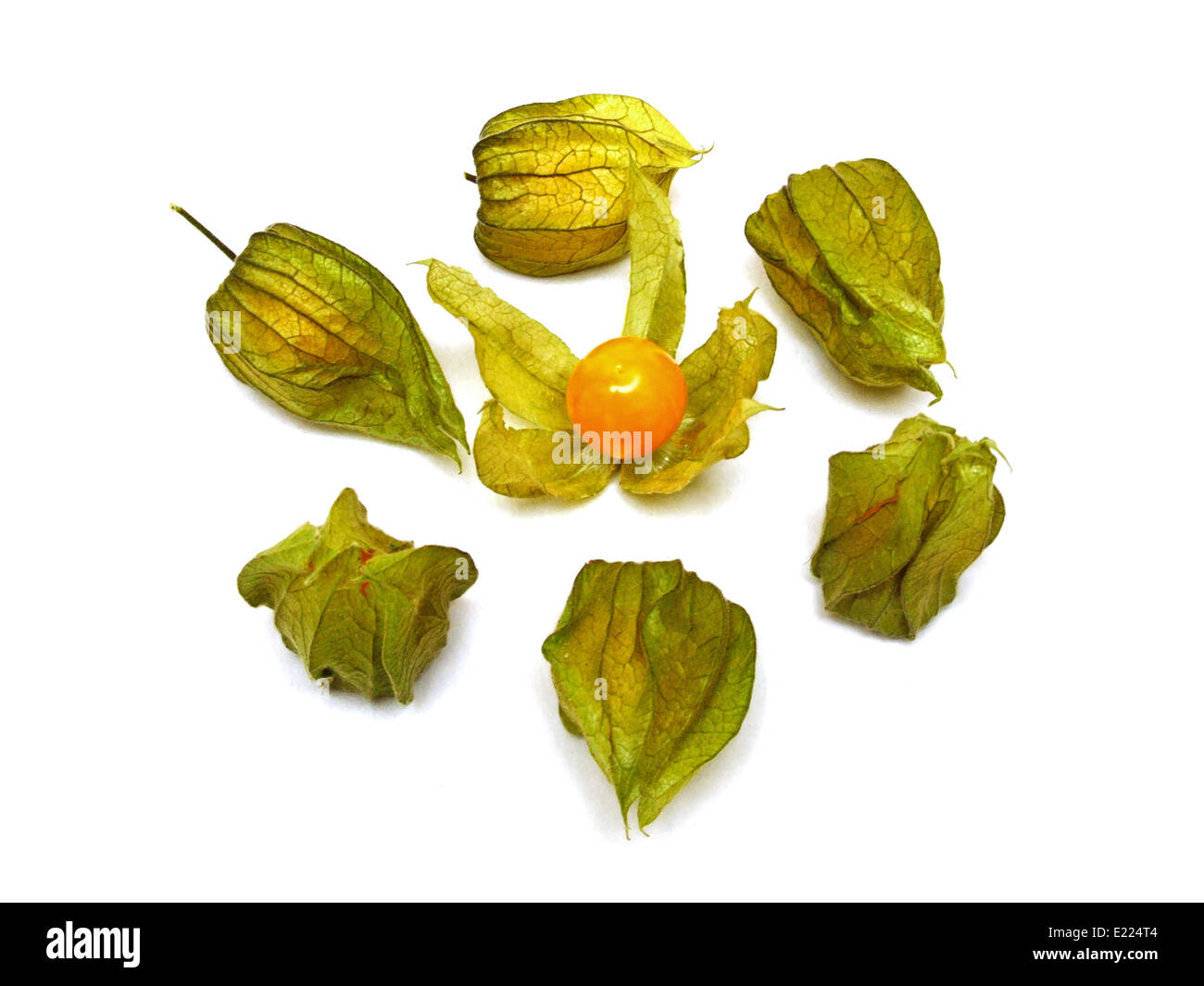 Ribes del capo Foto Stock