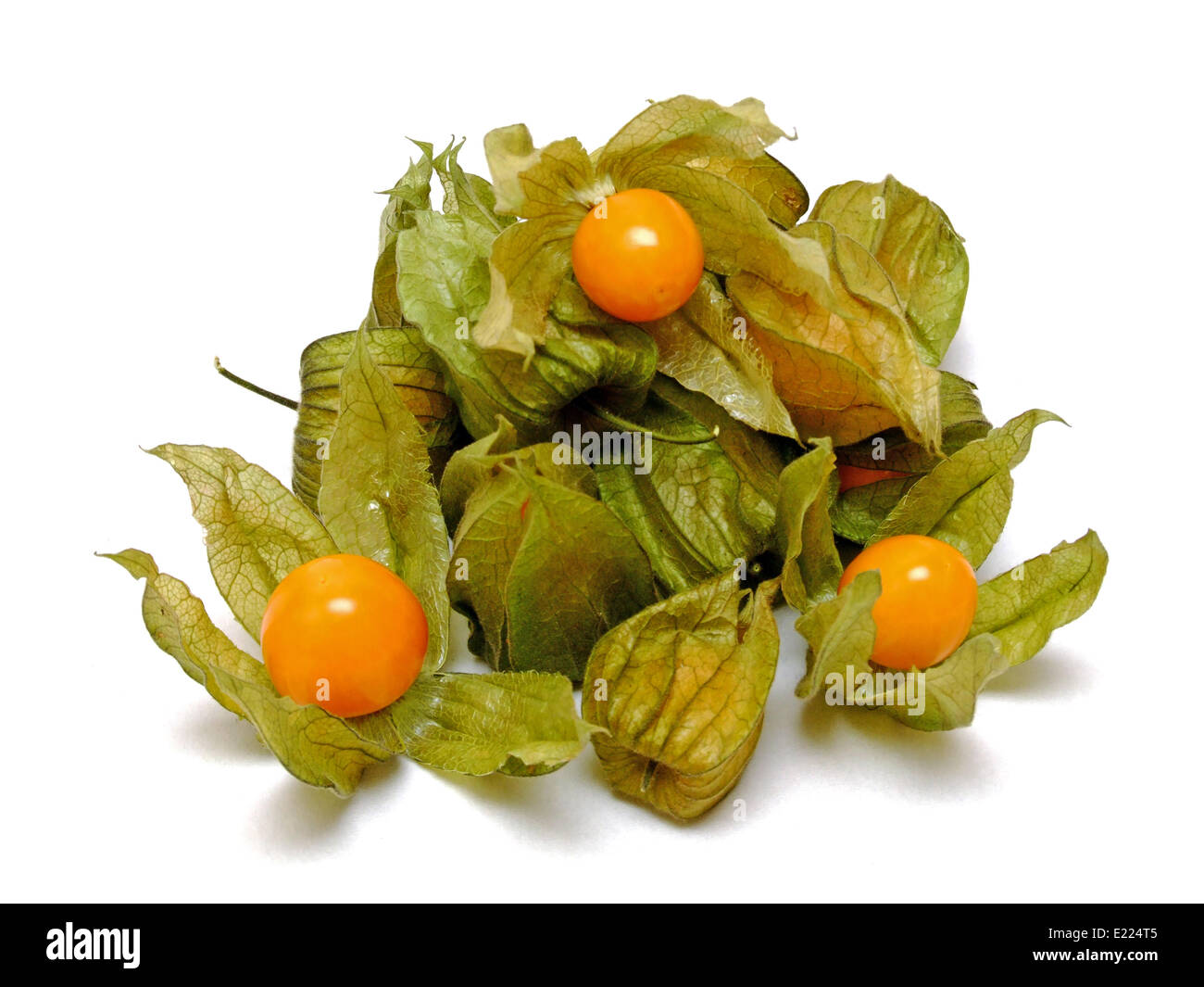 Ribes del capo Foto Stock