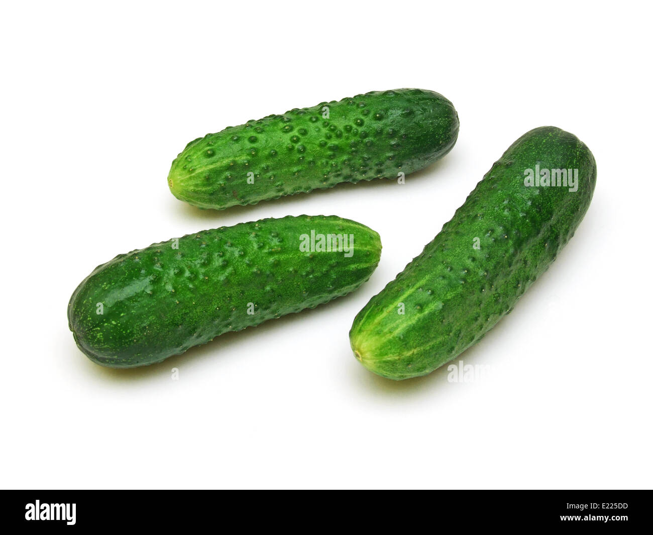 Un paio di cetrioli (Cucumis sativus) Foto Stock