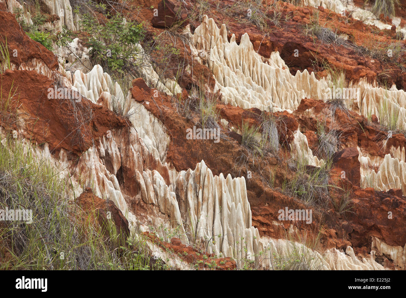 Tsingy di Ankarana, Madagascar, Africa Foto Stock