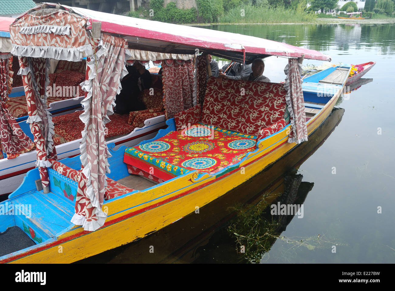 All'interno di shikara,dal lago,kashmir,l'india Foto Stock