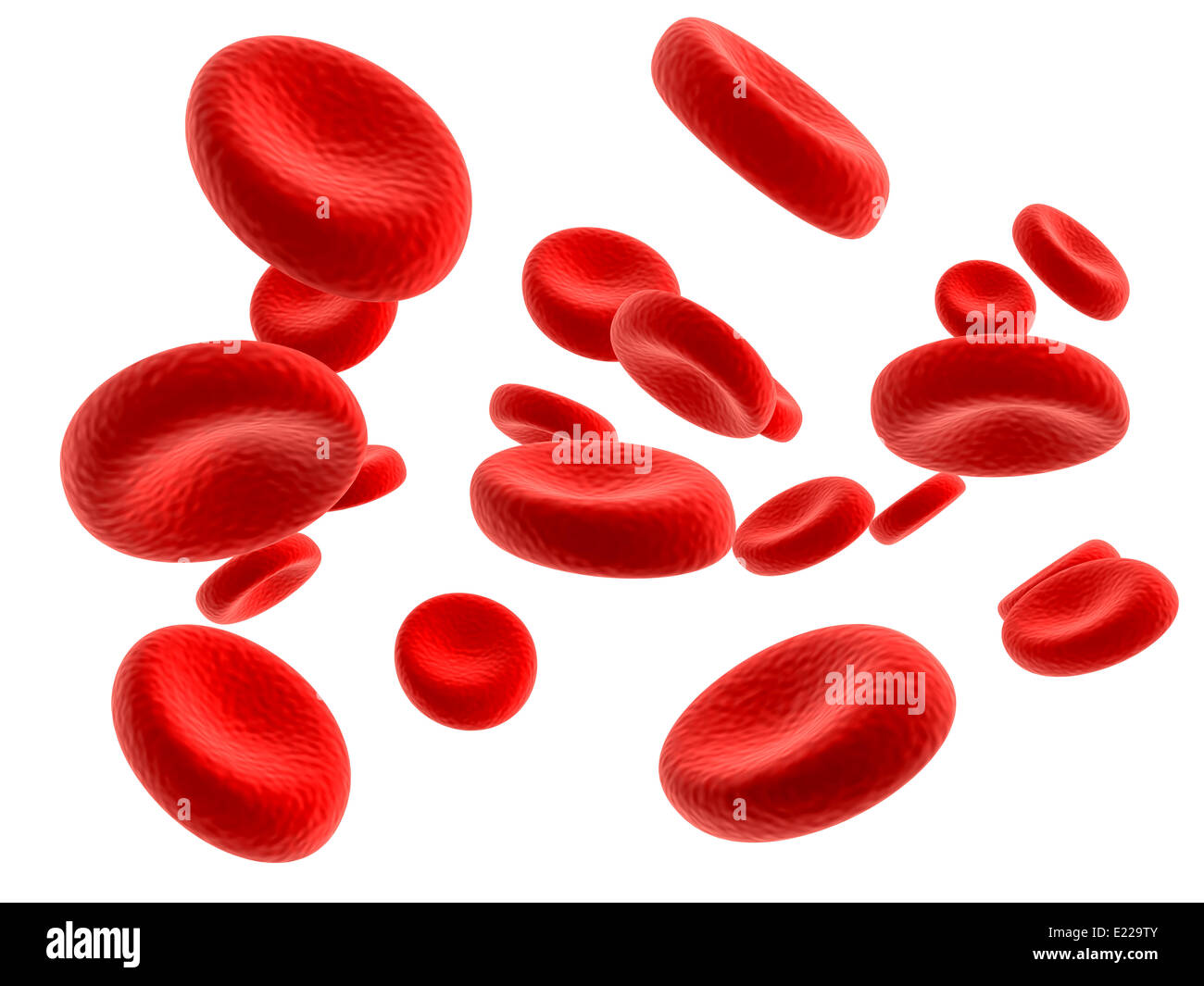 Illustrazione delle particelle del sangue nella messa a fuoco Foto Stock