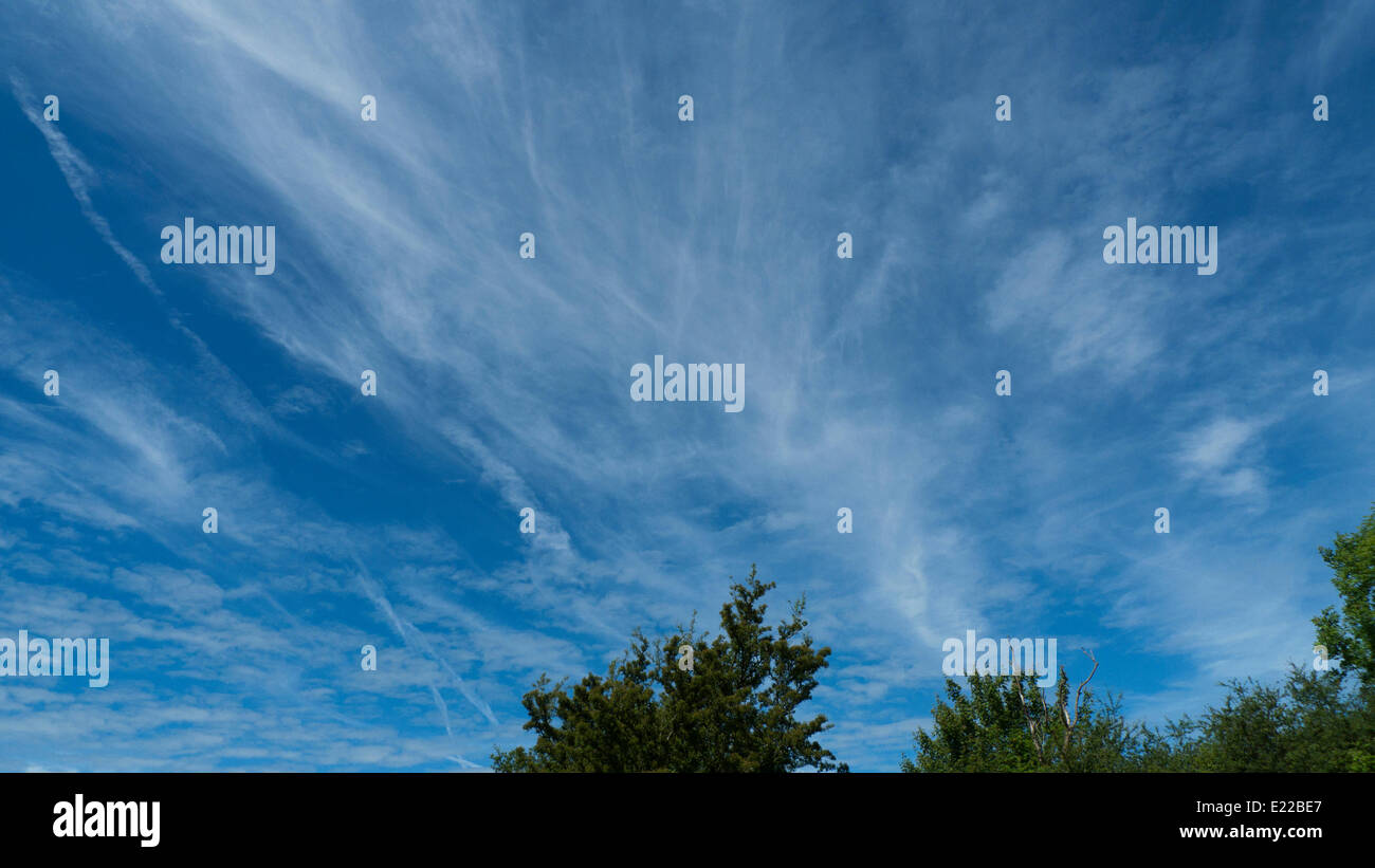 Llanwrda, Carmarthenshire, Wales, Regno Unito. Xiii Giugno, 2014. Cirrus nuvole iniziano a oscurare il blu limpido cielo mattutino sotto sfolgorante sole estivo appena prima di mezzogiorno in Carmarthenshire. Il clima secco è previsione di continuare nella prossima settimana qui in Galles con docce possibile la domenica pomeriggio. Credito: Kathy deWitt/Alamy Live News Foto Stock