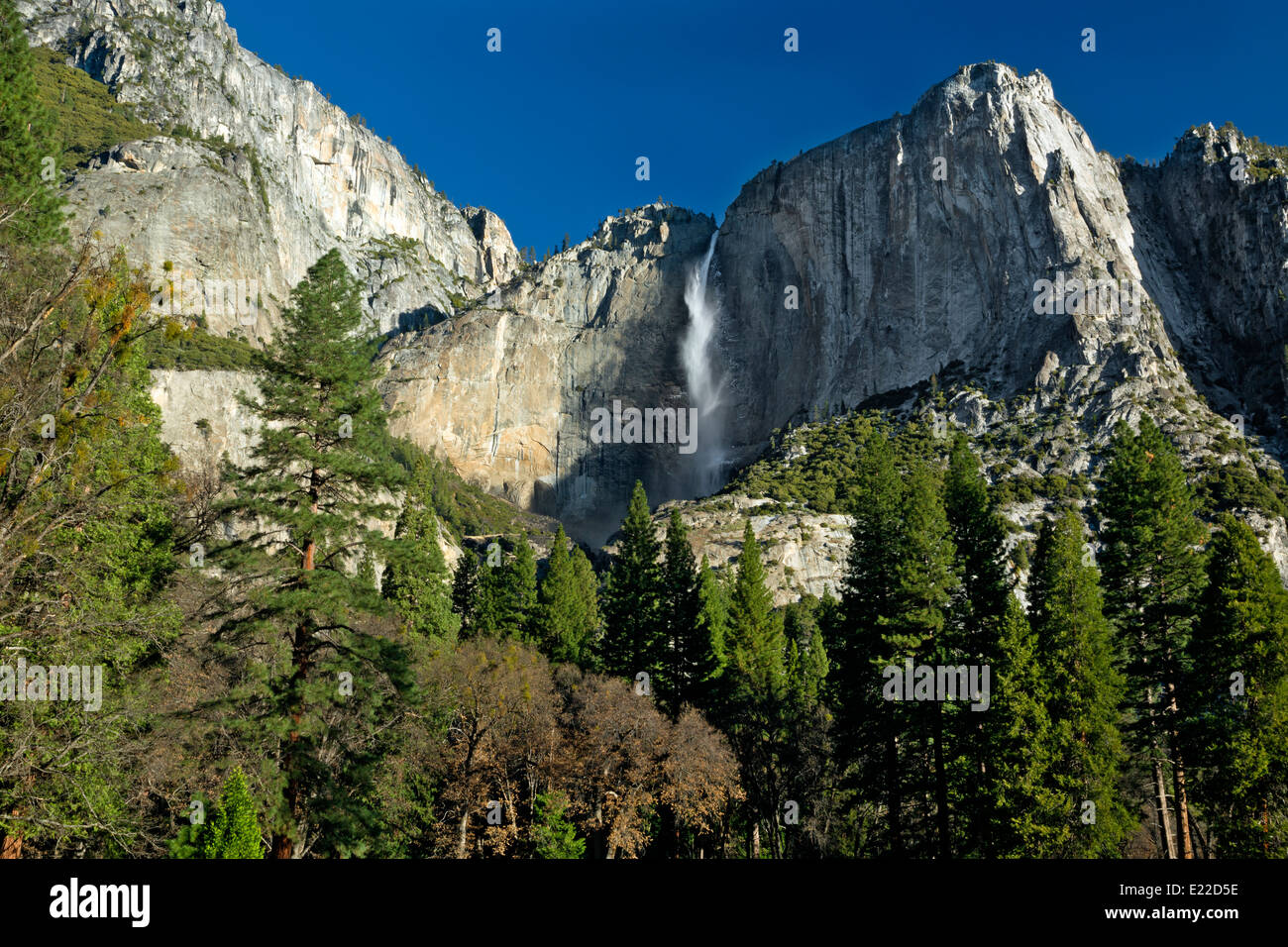CALIFORNIA - Upper Yosemite Falls e il fiume Merced da Yosemite Valley nel Parco Nazionale di Yosemite. Foto Stock