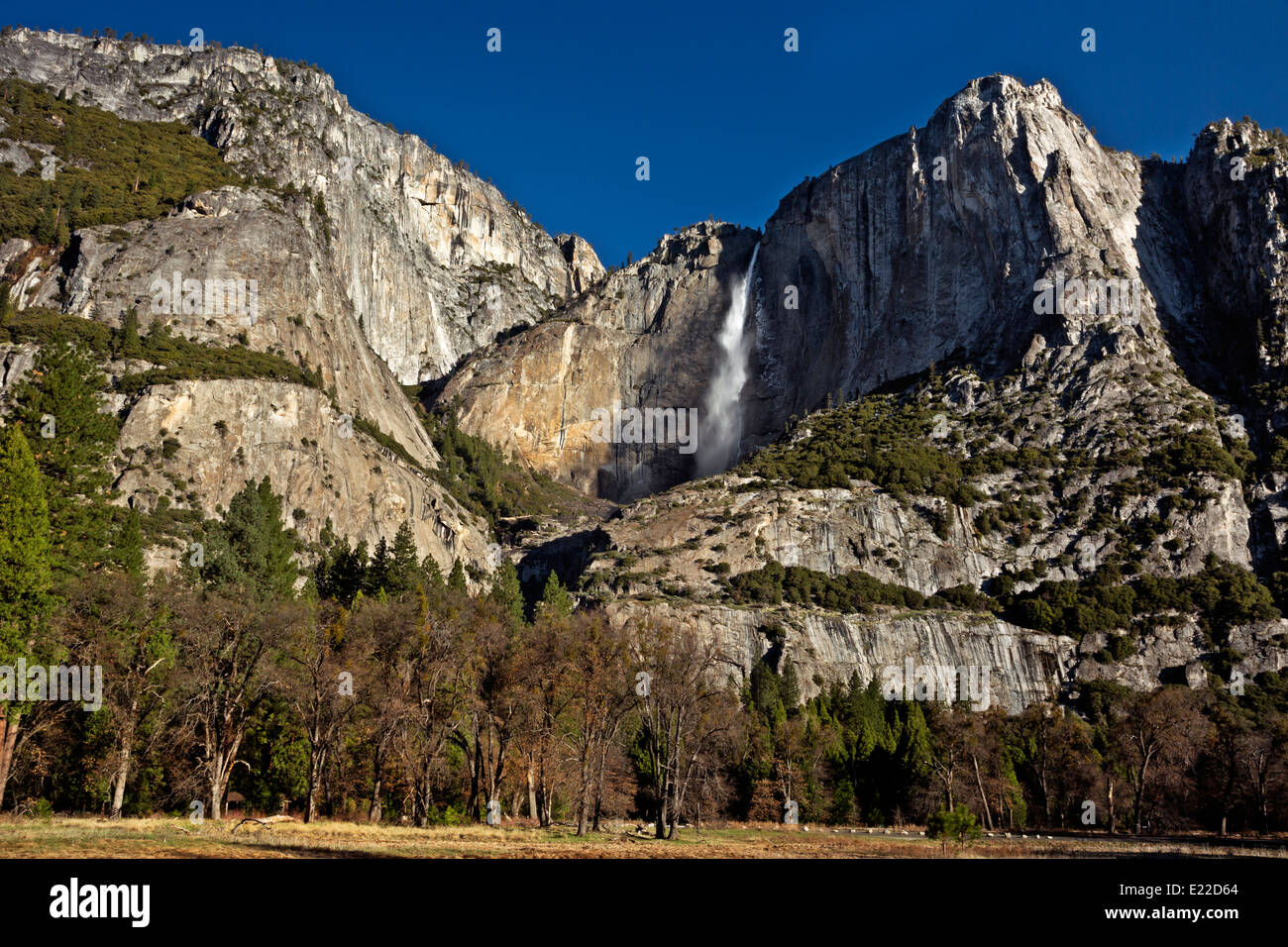 CALIFORNIA - Upper Yosemite Falls e punto di Yosemite dai prati della valle di Yosemite nel Parco Nazionale di Yosemite. Foto Stock
