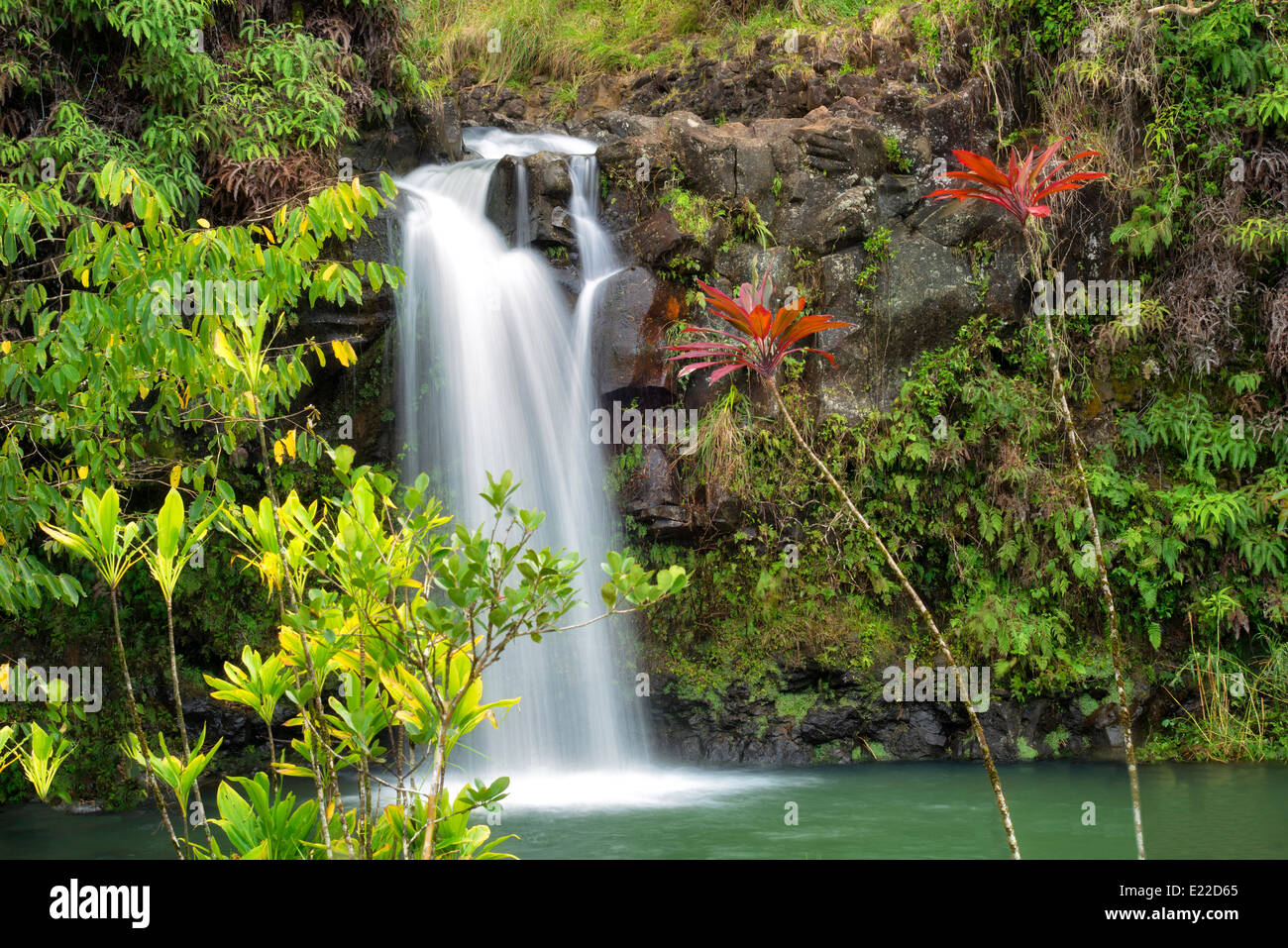 Cascate a Pua'A'Kaa stato perso. Maui, Hawaii. Foto Stock