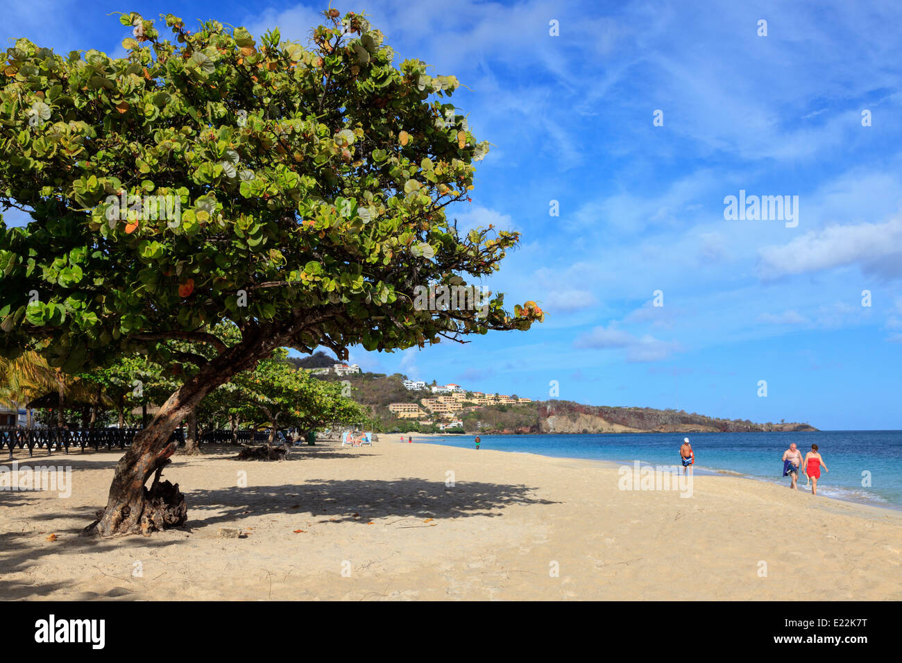 Vista sud sulla Grand Anse spiaggia verso il punto di quarantena, St George, Grenada, West Indies Foto Stock