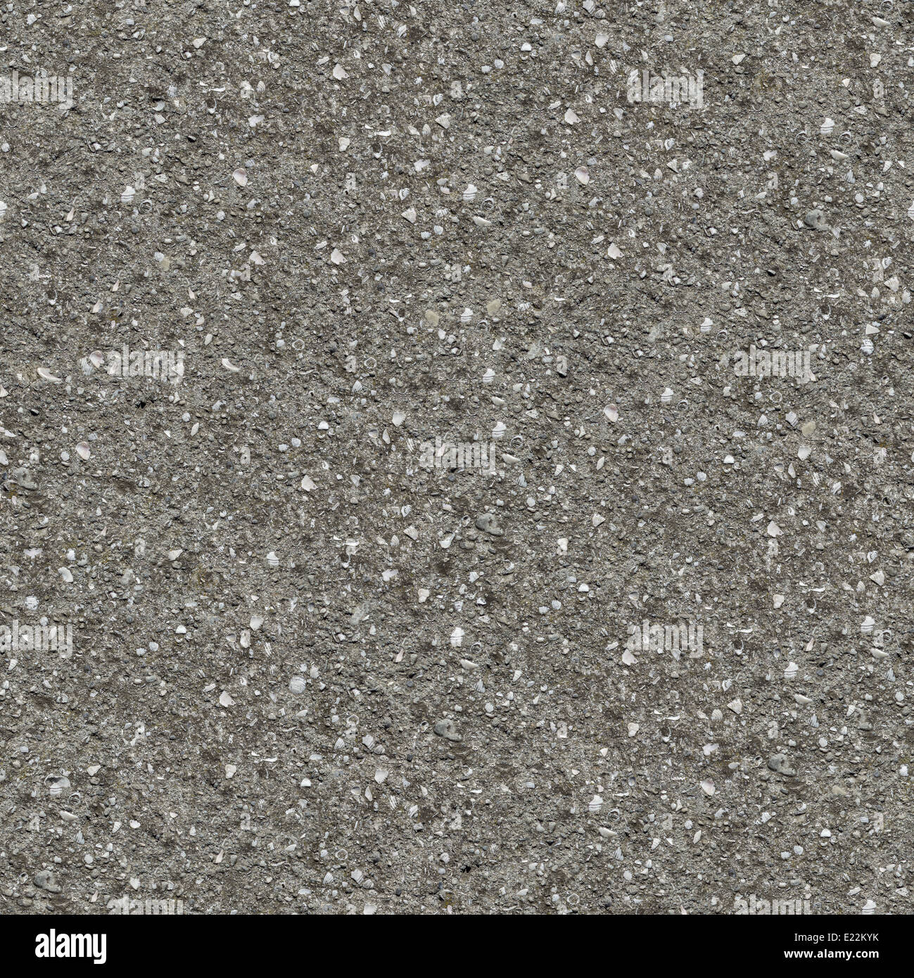 Una superficie in calcestruzzo con Shellsb- Seamless Texture. Foto Stock