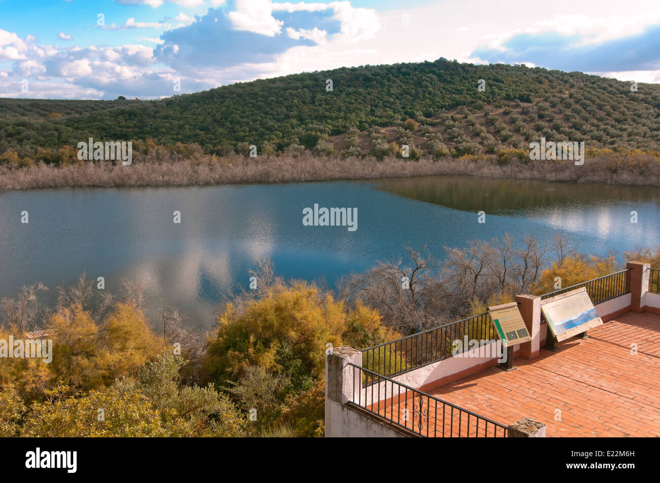 Laguna amaro Riserva Naturale, Jauja, Cordoba-provincia, regione dell'Andalusia, Spagna, Europa Foto Stock