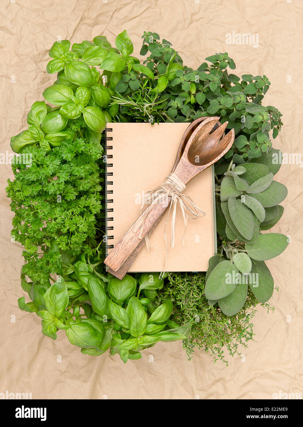 Ricettario con varietà di erbe fresche e decorazione. sfondo di cottura Foto Stock