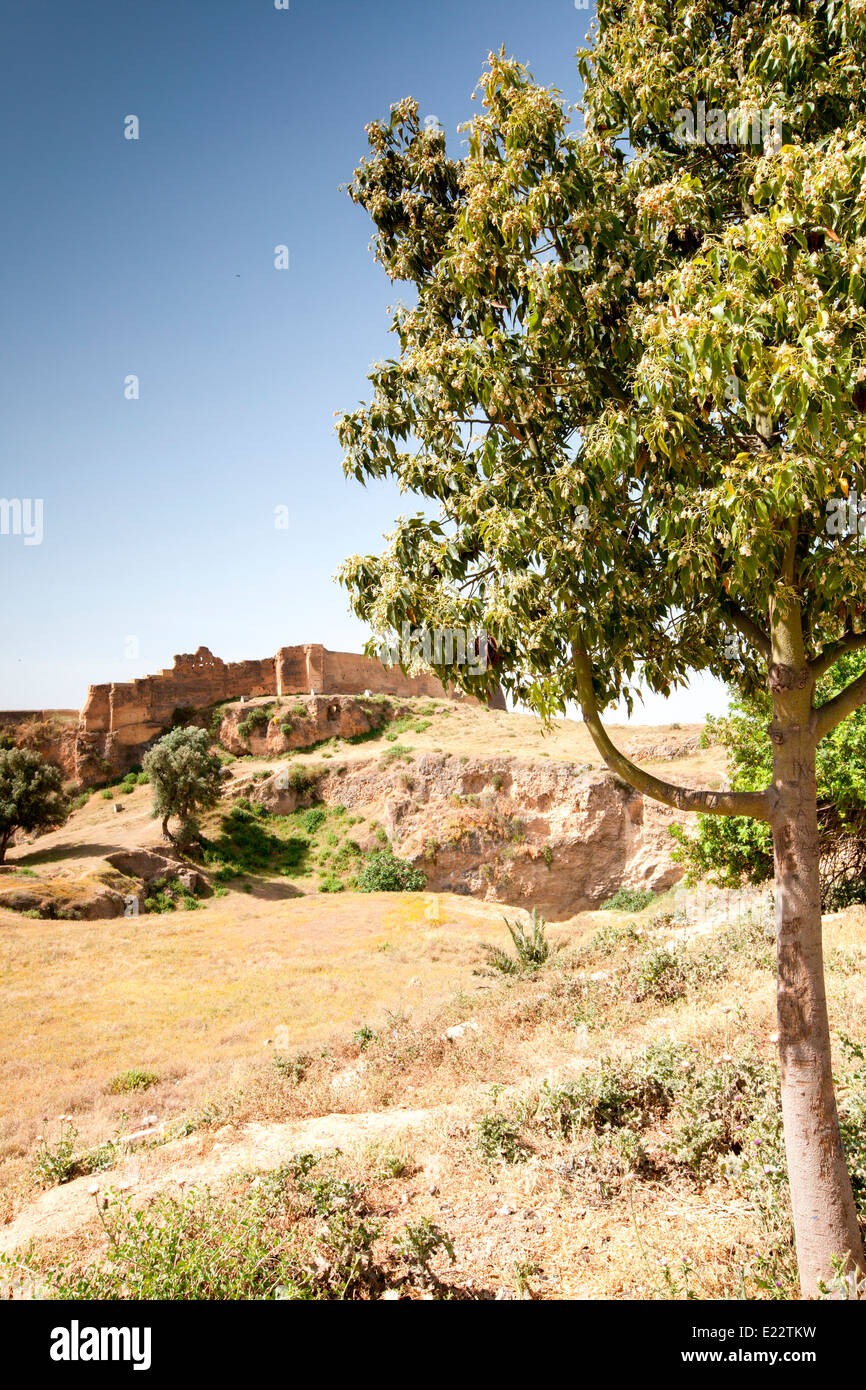 Vista di un originale Kasbah di Ziz Valley vicino a Er-Rachidia, Marocco, Africa del Nord. Foto Stock
