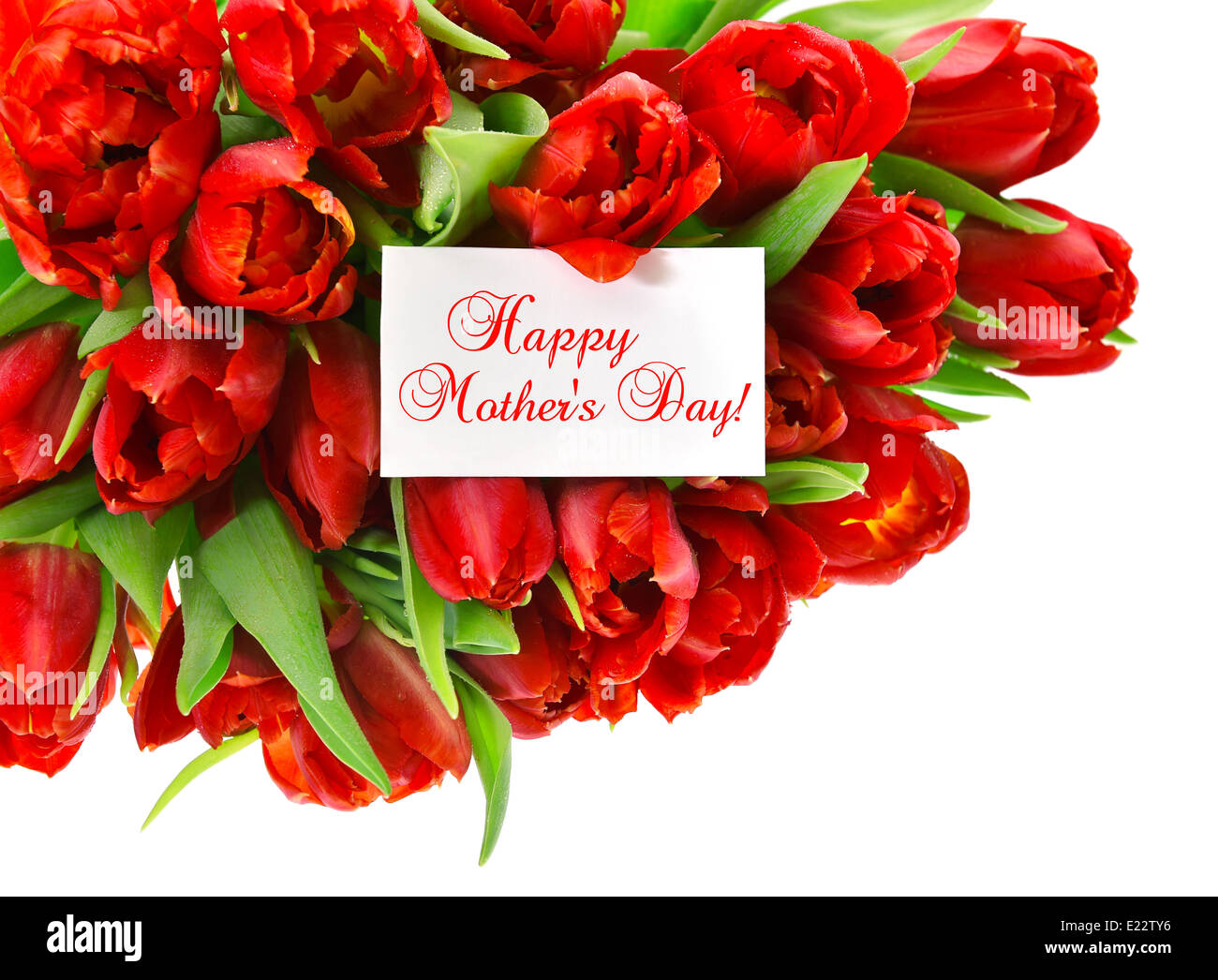 Tulipani rossi con white paper card con un testo di esempio felice Giorno della Madre! Freschi di fiori di primavera Foto Stock