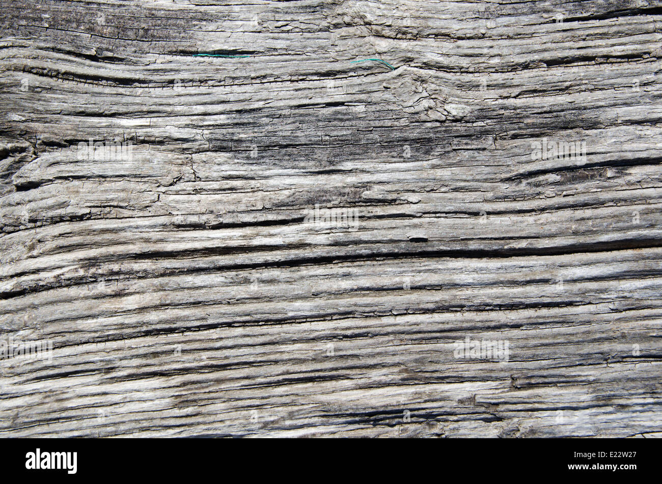 Sullo sfondo di un vecchio weathered superficie in legno Foto Stock