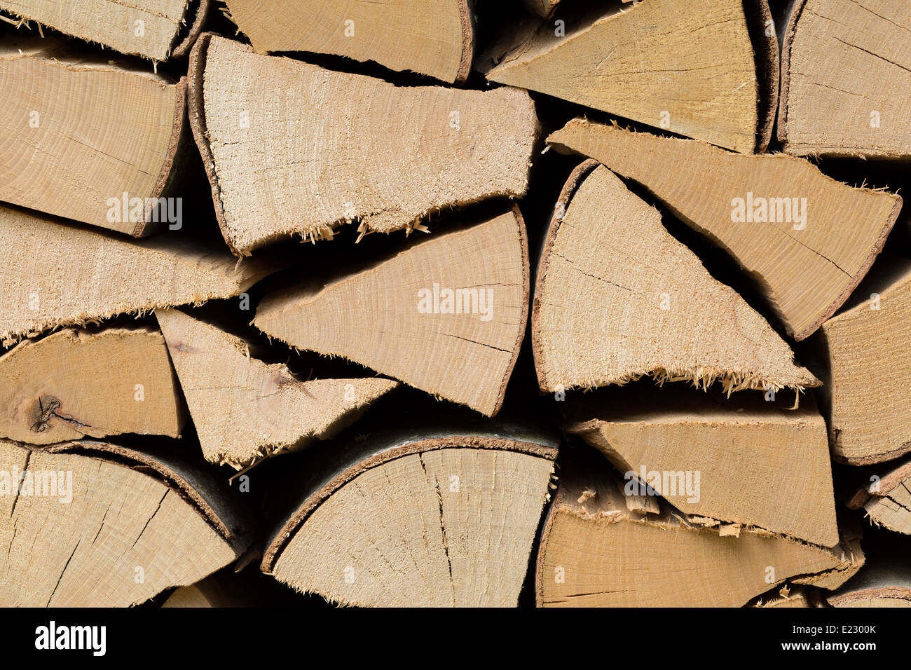 Un trito di legno di faggio log Foto Stock
