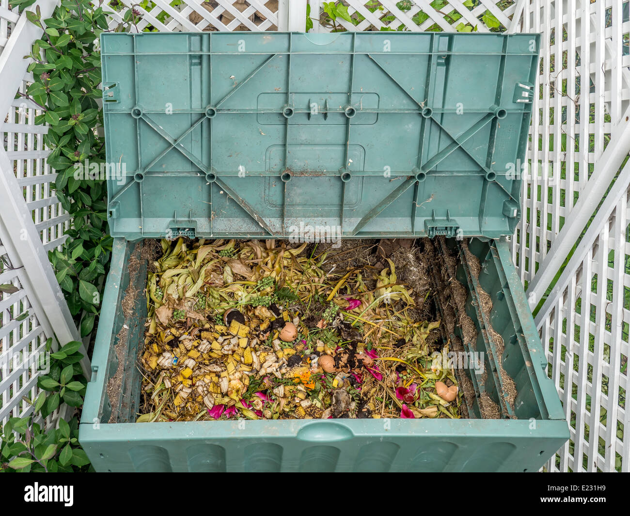 In plastica verde compost bin piena di organici domestici e scarti di alimenti Foto Stock
