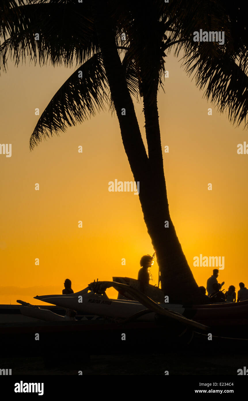 Silhouette di un surfista sotto la doccia accanto a un albero di palme sulla spiaggia di Waikiki di Oahu, Hawaii Foto Stock