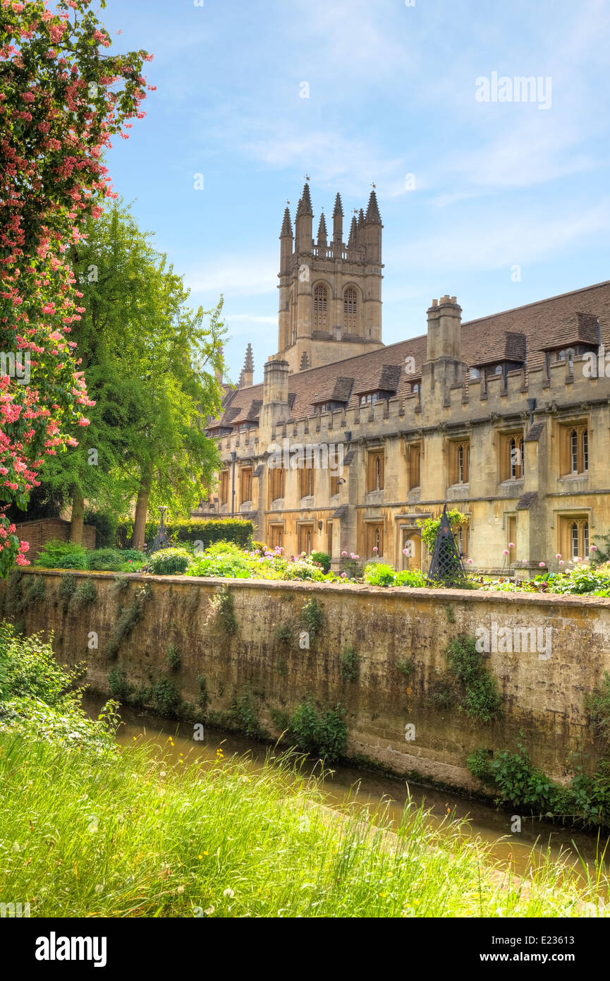 Il Magdalen College di Oxford, Oxfordshire, England, Regno Unito Foto Stock