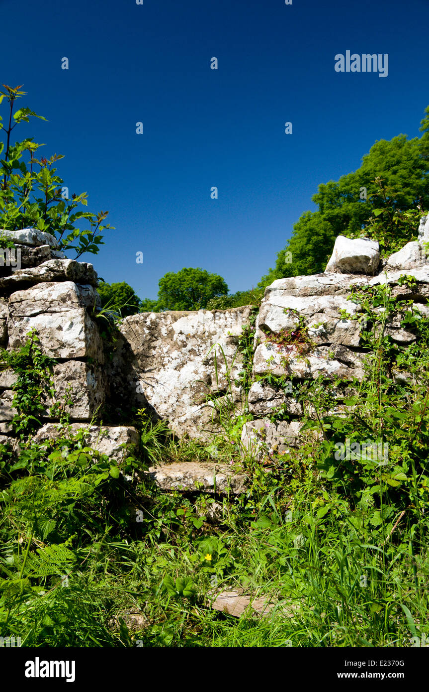 Stone Stile sul millennio Valeways sentiero vicino a St Brides grandi, Bridgend, nel Galles del Sud. Foto Stock
