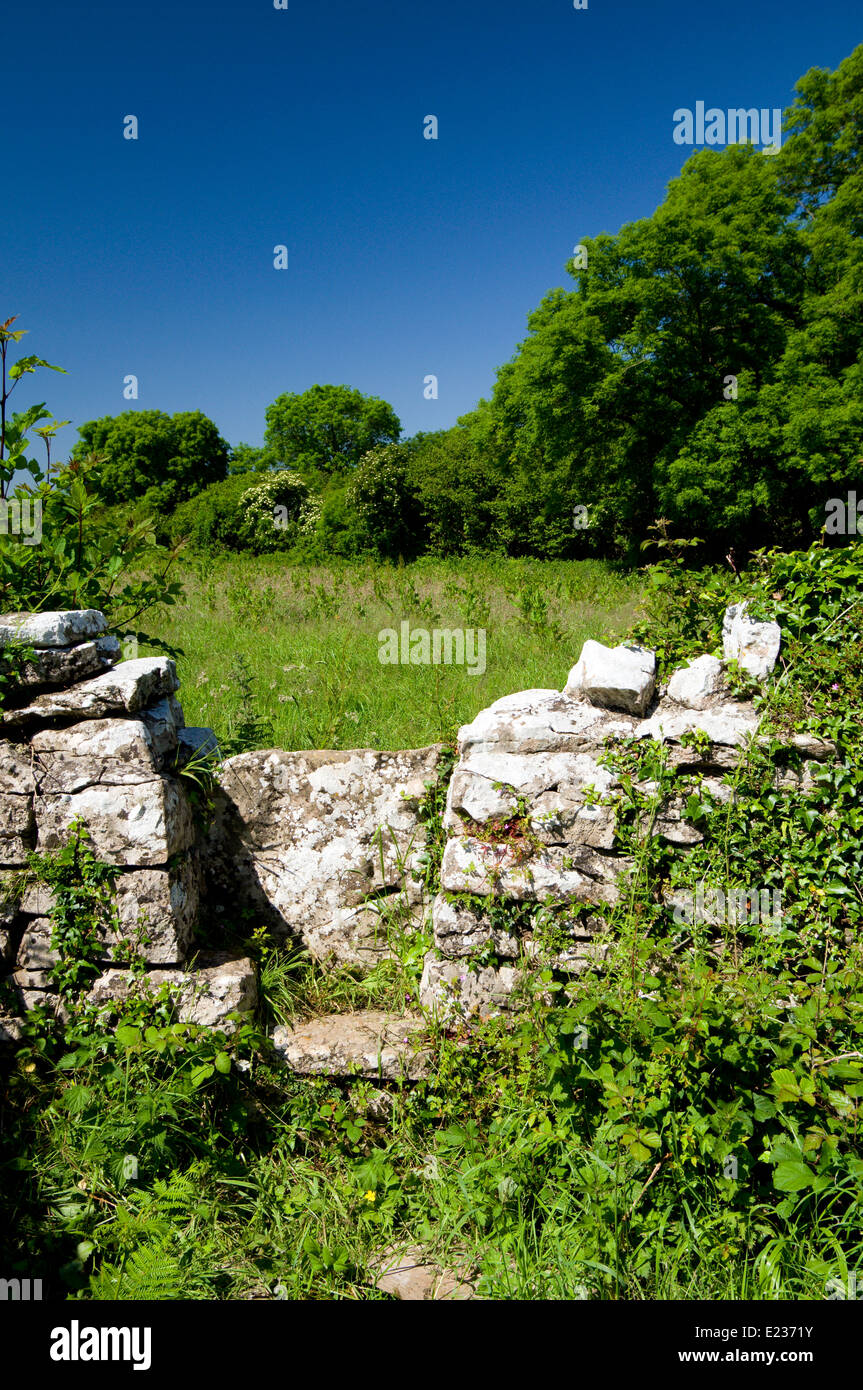 Stone Stile sul millennio Valeways sentiero vicino a St Brides grandi, Bridgend, nel Galles del Sud. Foto Stock