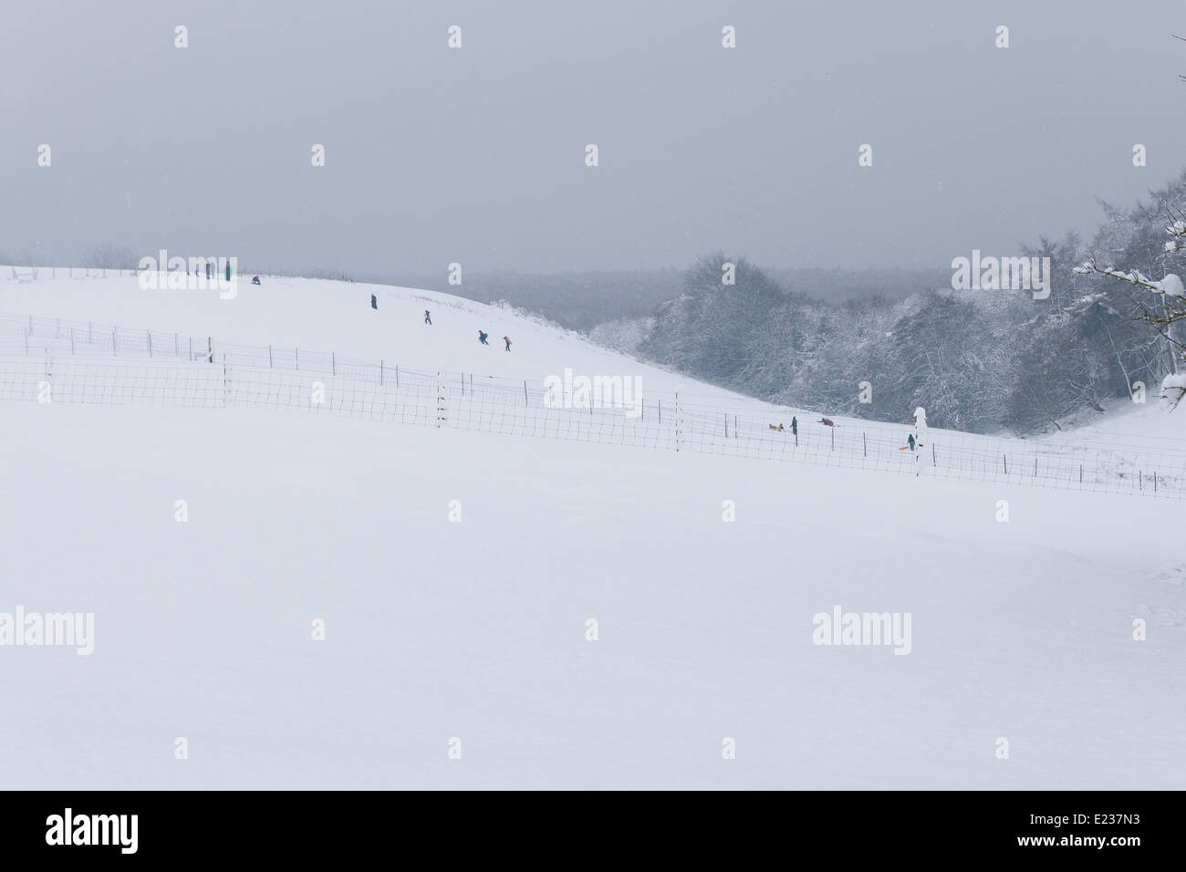 Godendo di una giornata sulla neve, slittino ai piedi delle colline di Quantock. Foto Stock