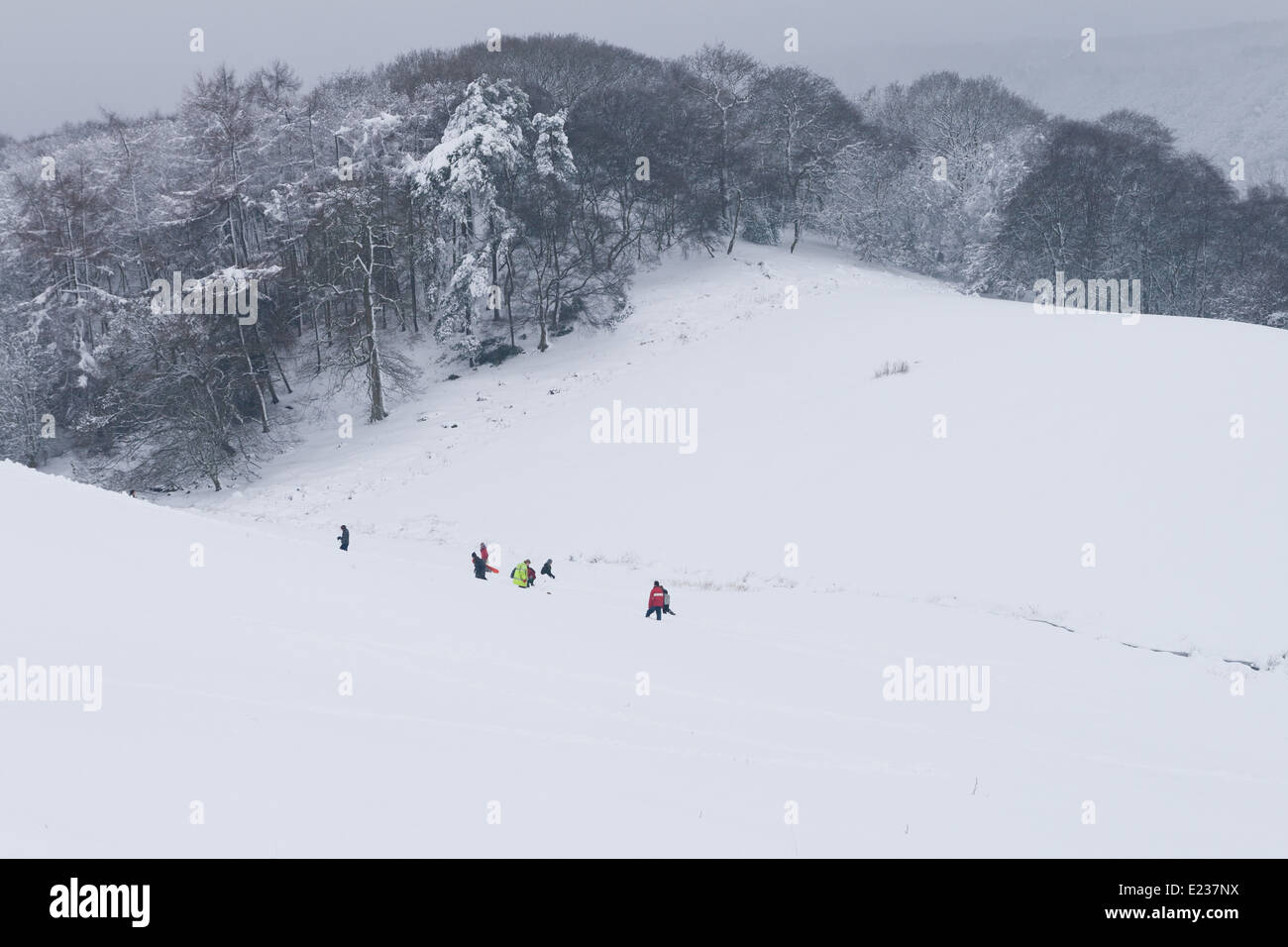 Godendo di una giornata sulla neve, slittare nella Quantock Hills. Foto Stock