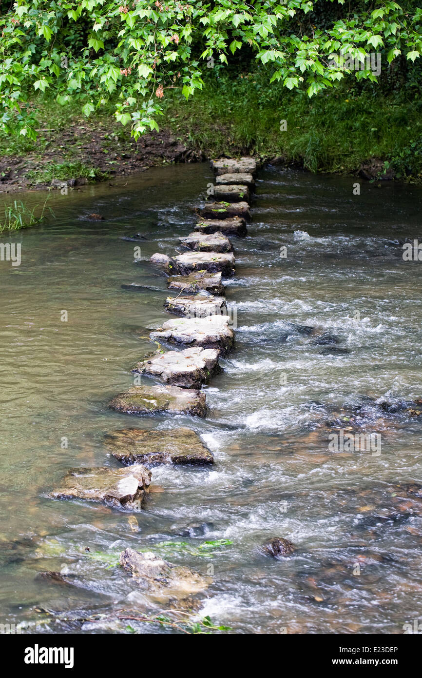 Pietre miliari su un fiume. Foto Stock