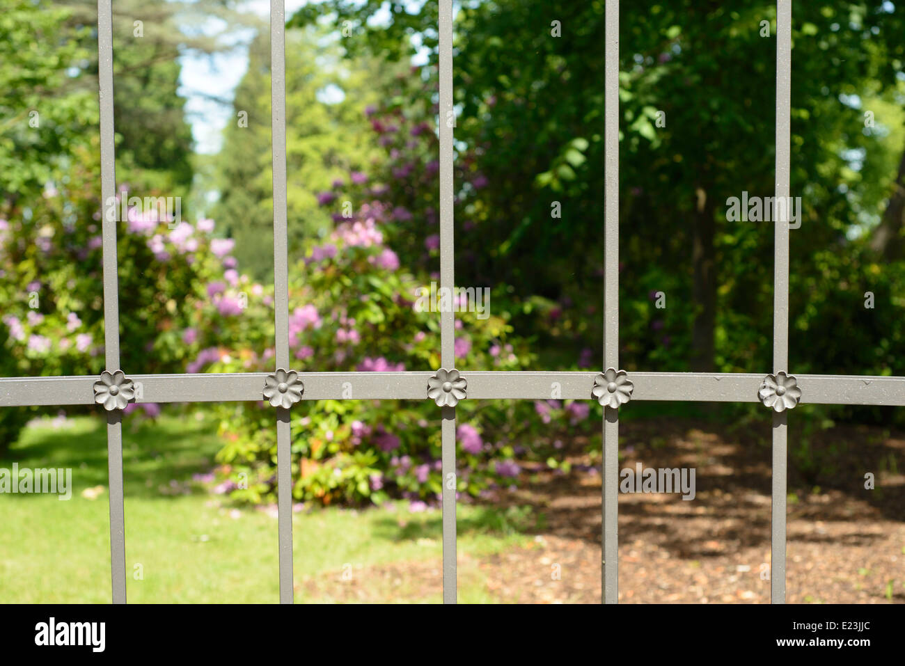 L' immagine di un giardino di fiori protetti da una recinzione in ferro con opera predisposto Foto Stock