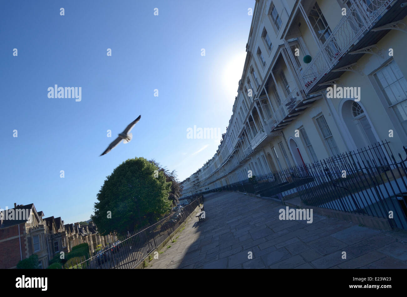 Royal York Crescent con seagull visitatore, Clifton Bristol England Regno Unito Foto Stock