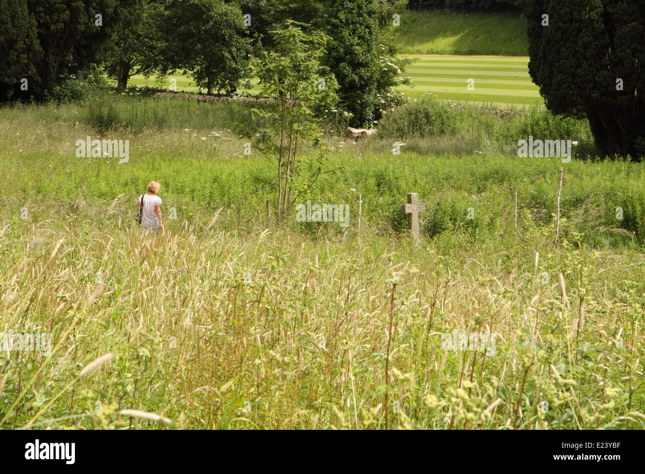 Un visitatore a ex Somerset e bagno Manicomio cimitero di Wells Somerset. Il cimitero aperto nel 1874 e 2.900 paziente sepolture in tombe anonime ha avuto luogo prima del cimitero chiuso nel 1963. La salute mentale ospedale chiusa nel 1991. Foto Stock