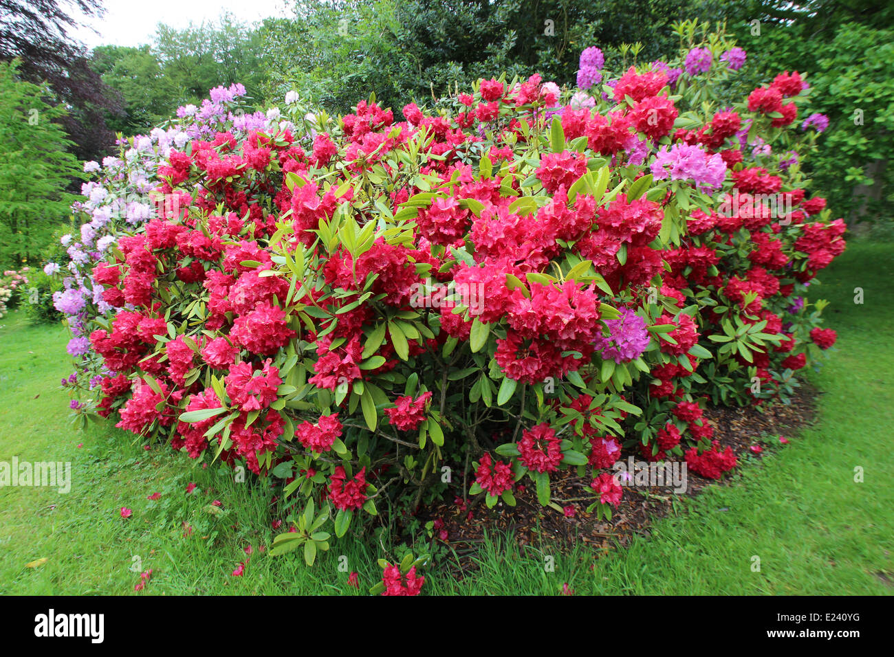 Wightwick Manor Foto Stock
