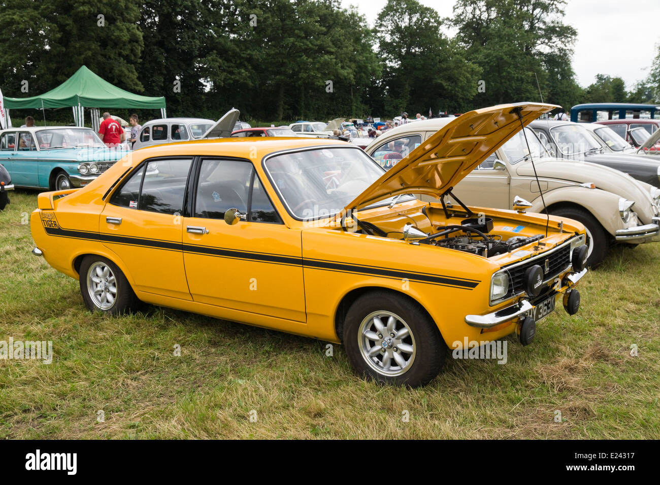 Il 2014 Classic car show sul prato di Berkeley Castle Berkeley Gloucestershire in Inghilterra. Hillman Avenger Tiger Foto Stock