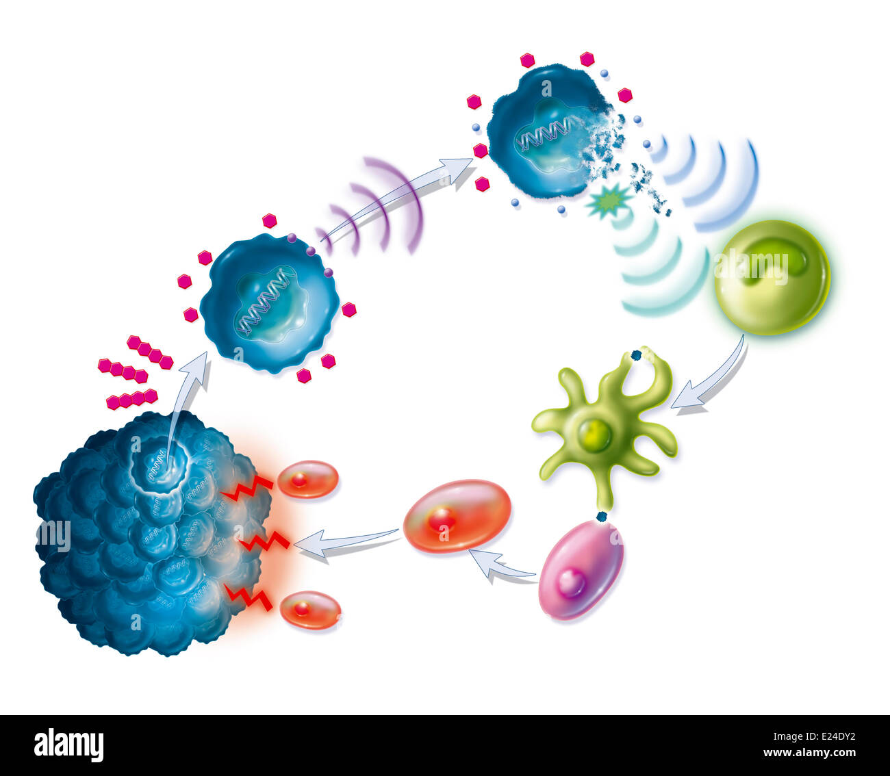 Disegno di chemioterapia Foto Stock