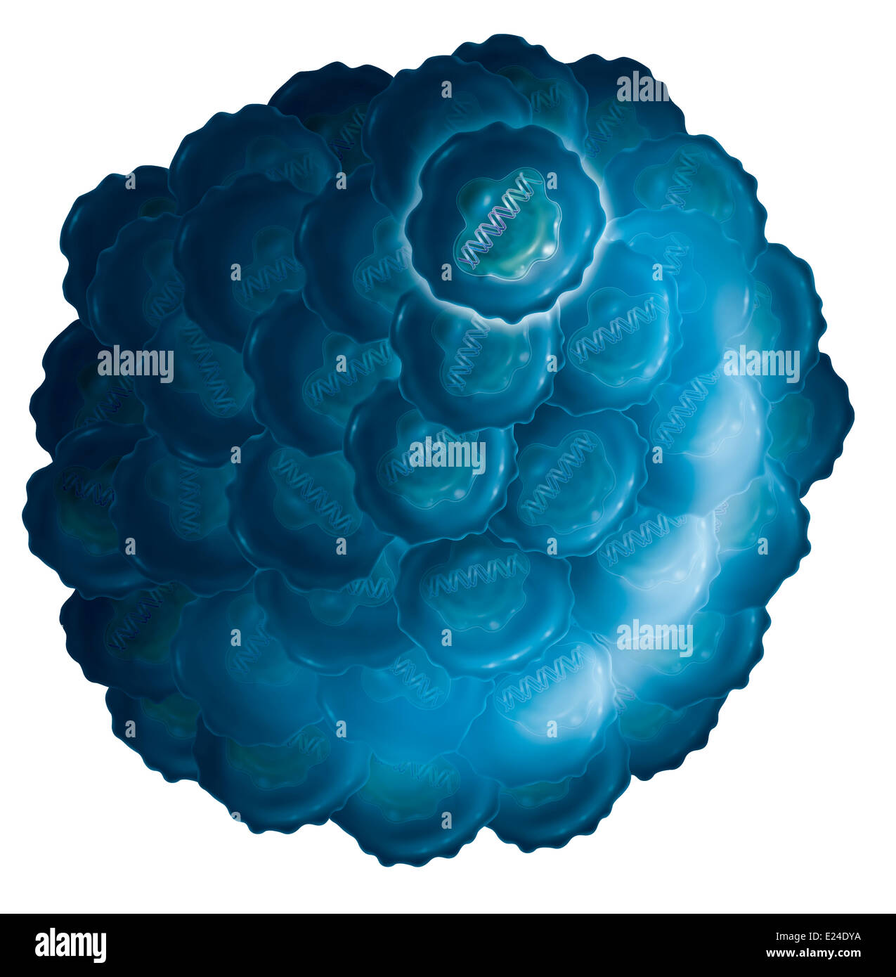 Cancro, disegno Foto Stock