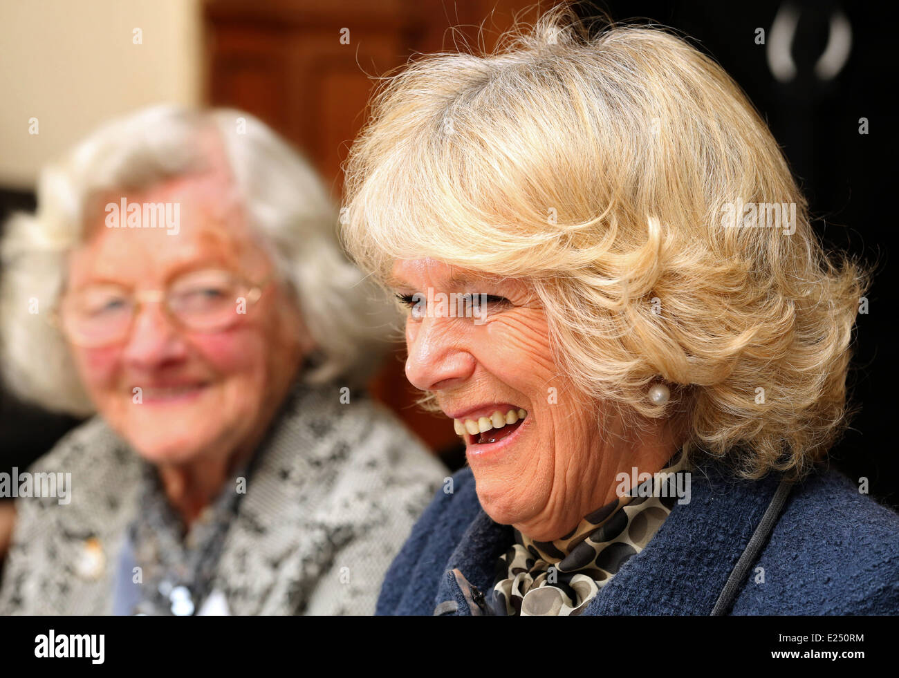 La duchessa di Cornovaglia parla con le donne che hanno servito come interruttori di codice a Bletchley Park durante la Seconda Guerra Mondiale, presso la Mansion House a Bletchley Park offre: Camilla,Duchessa di Cornovaglia dove: Milton Keynes, Regno Unito quando: 20 Feb 2013 Foto Stock