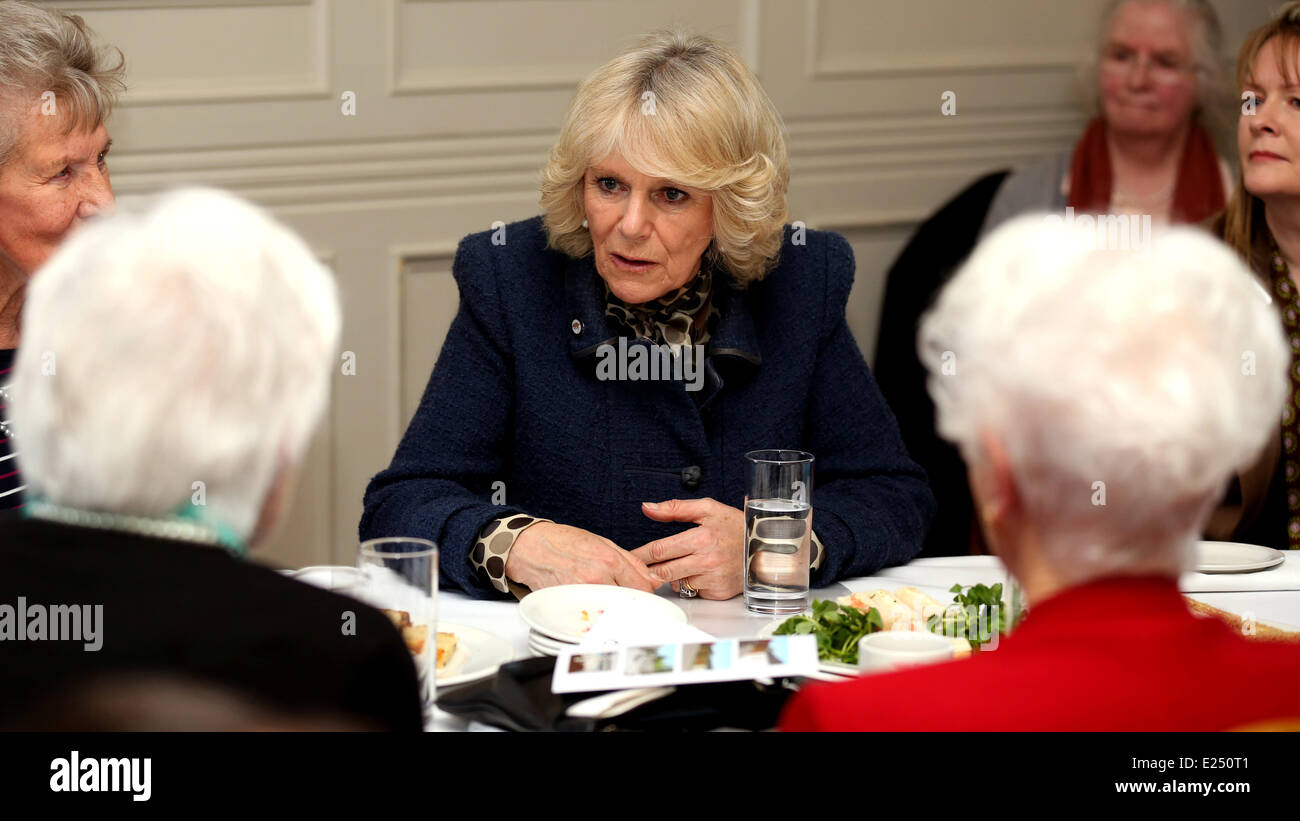 Camilla, S.A.R. la Duchessa di Cornovaglia parla con le donne che hanno servito come interruttori di codice a Bletchley Park durante la Seconda Guerra Mondiale, presso la Mansion House a Bletchley Park offre: Camilla,Duchessa di Cornovaglia dove: Milton Keynes, Regno Unito quando: 20 Feb 2013 Foto Stock