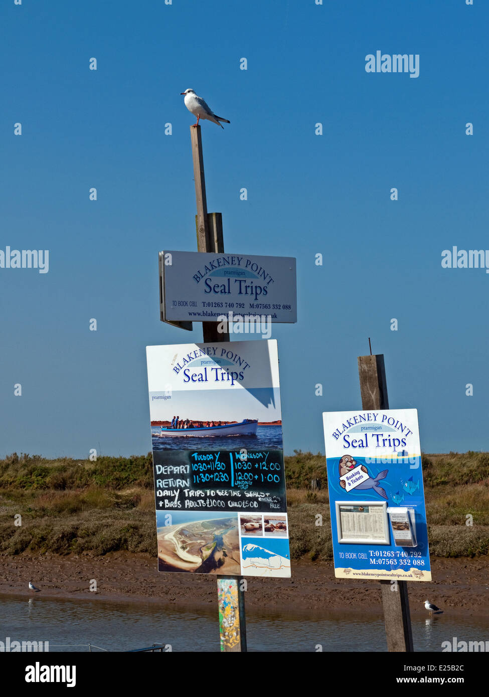 Segno per la guarnizione gite in barca al punto Blakeney da Blakeney Quay, Norfolk, Inghilterra Foto Stock
